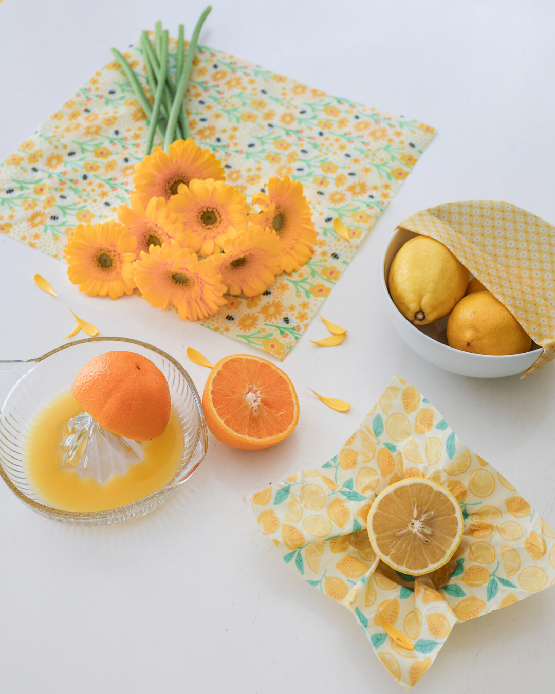 Beeswax Wrap Variety Set 4 Pack Bundle | Made in Canada | Nature Bee