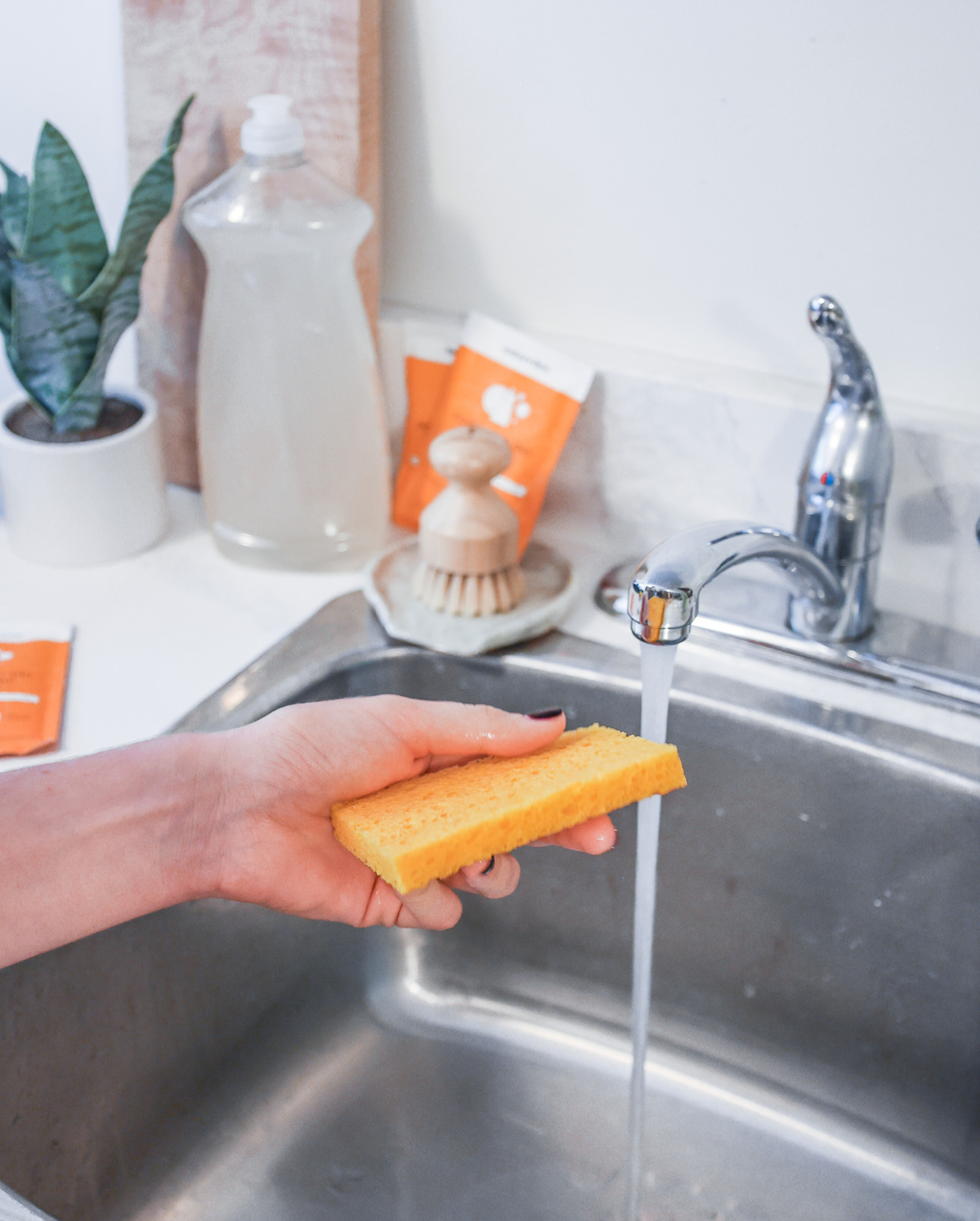 Cellulose Kitchen Sponge - Nature Bee