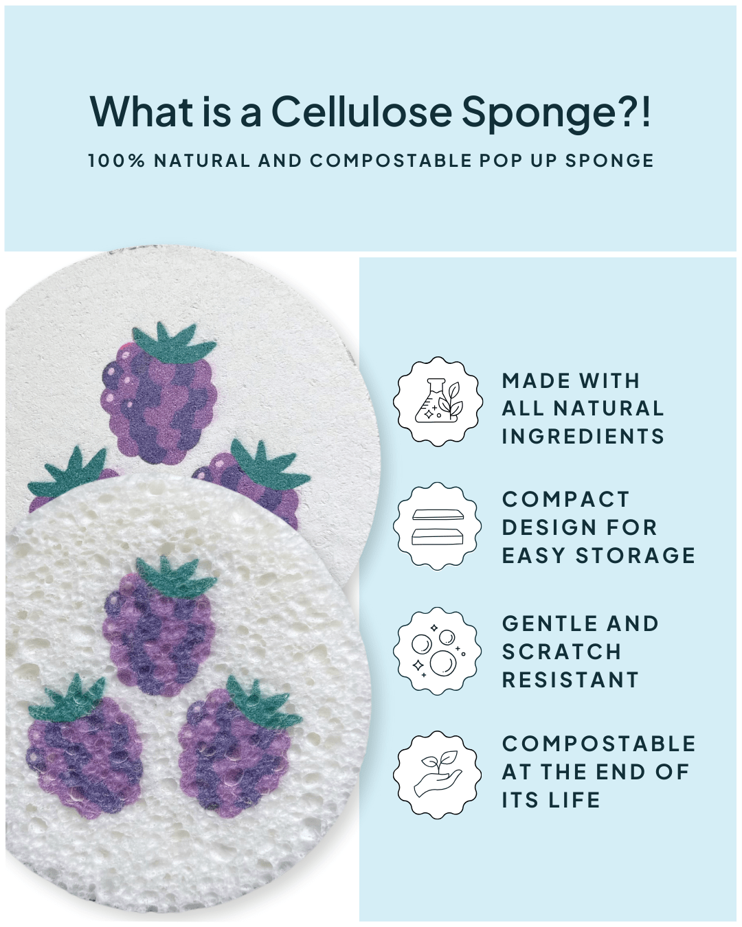 Cellulose Sponge Blackberry Print - NATURE BEE