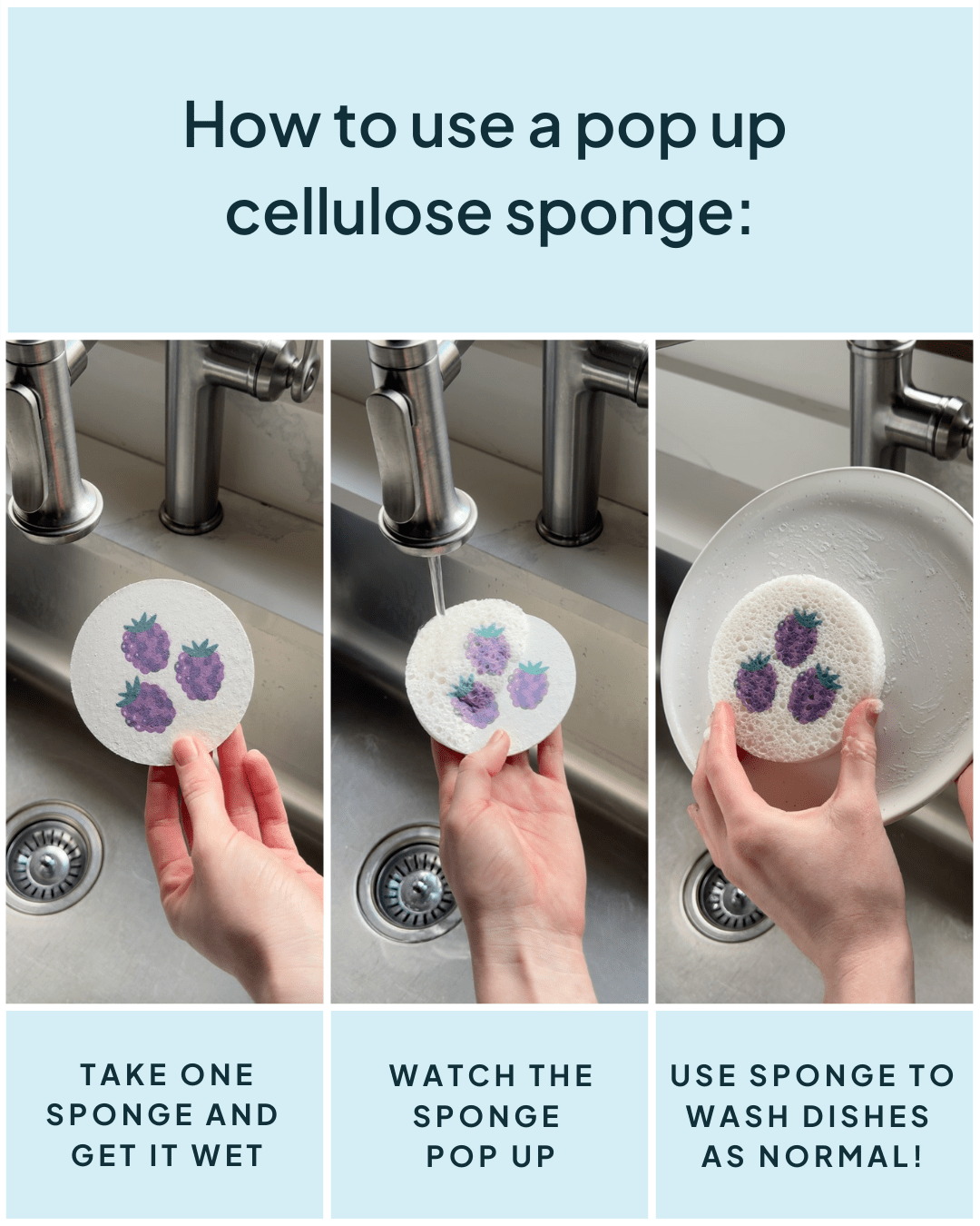 Cellulose Sponge Blackberry Print - NATURE BEE