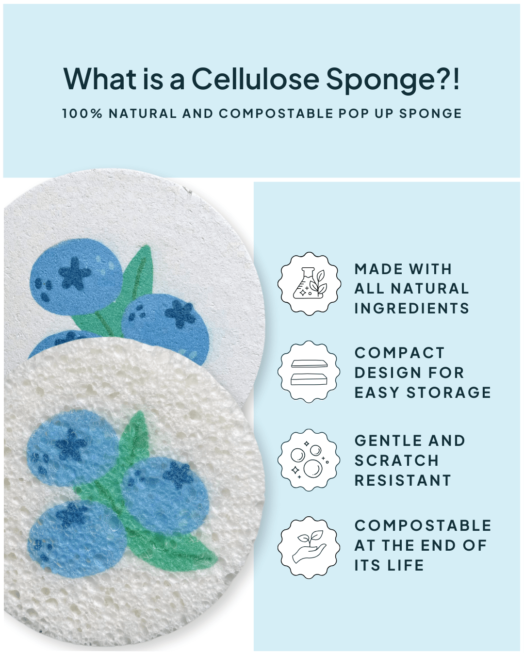 Cellulose Sponge Blueberry Print - NATURE BEE