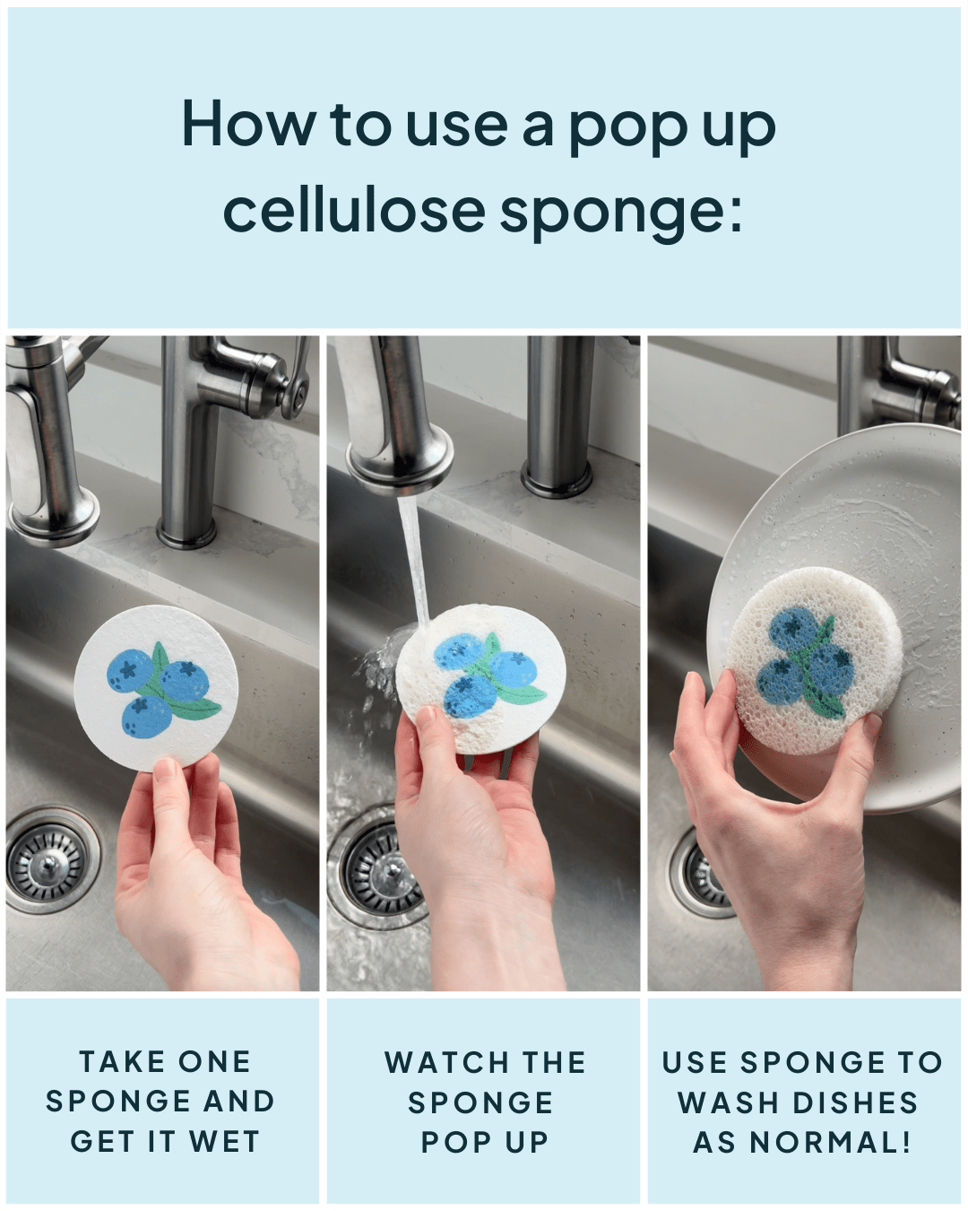 Cellulose Sponge Blueberry Print - NATURE BEE