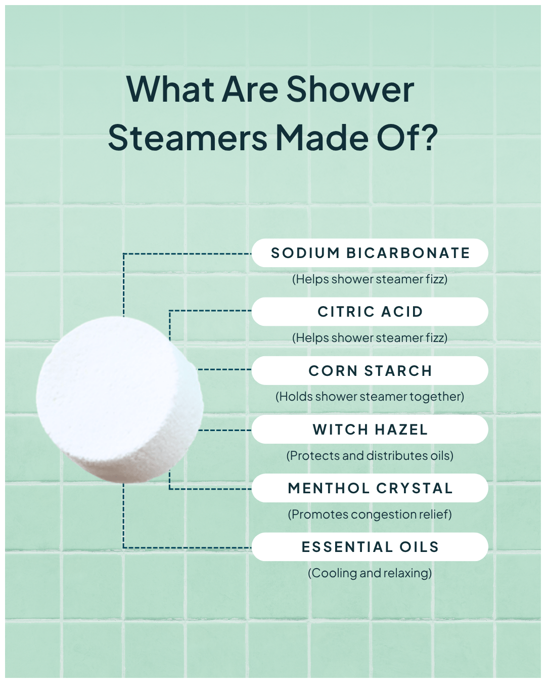 Eucalyptus Mint Shower Steamers - NATURE BEE