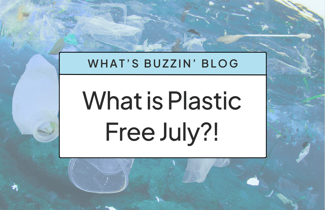 What is Plastic Free July? - NATURE BEE