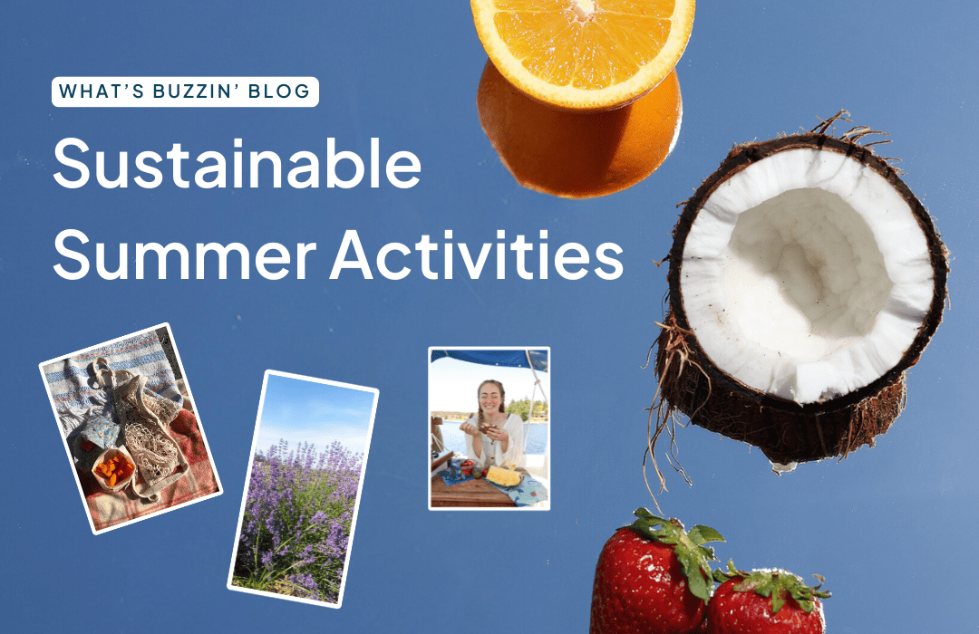 Sustainable Summer Activities: Eco-Friendly Fun for a Greener Season - NATURE BEE