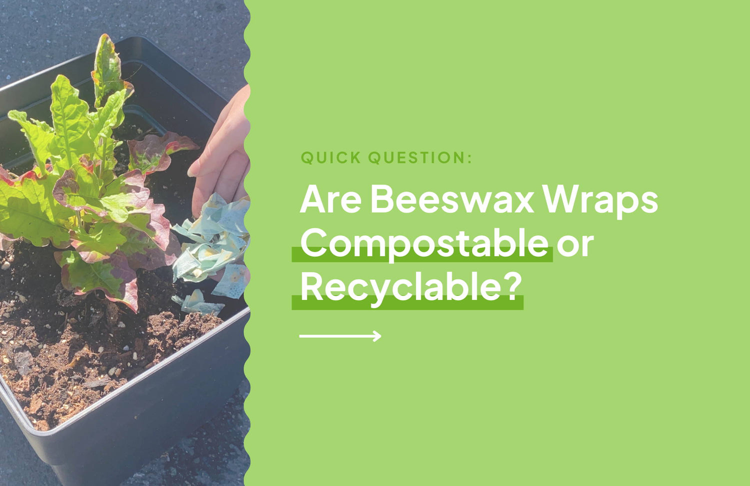 Are Beeswax Wraps Compostable or Recyclable? - NATURE BEE