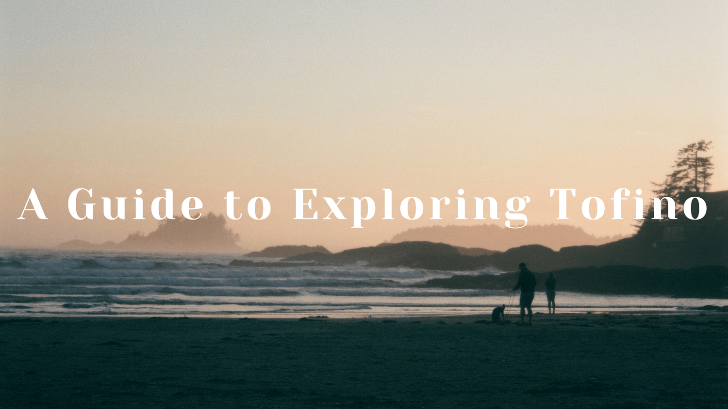 A guide to your time in Tofino, BC - NATURE BEE