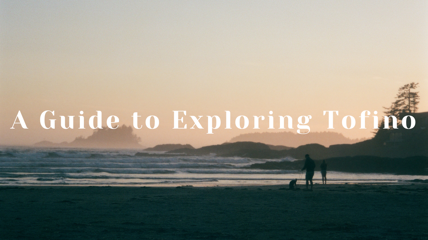A guide to your time in Tofino, BC