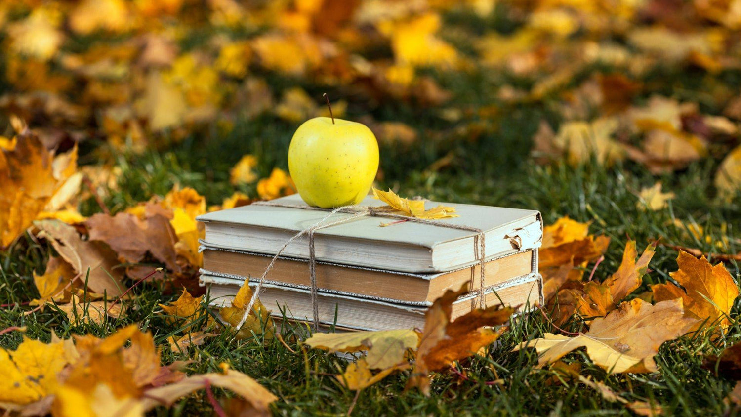 4 Tips for a smooth and sustainable transition back to school! - NATURE BEE