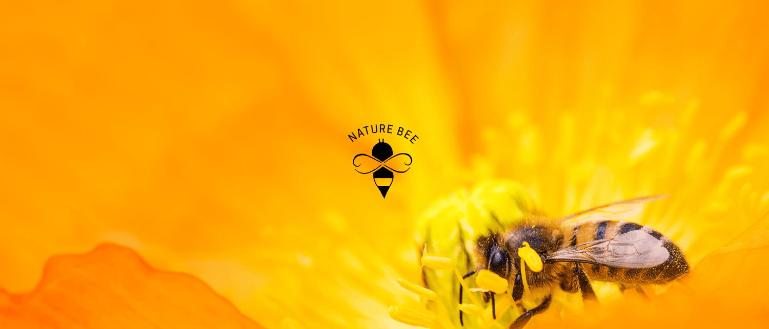 All About Our Beeswax - NATURE BEE