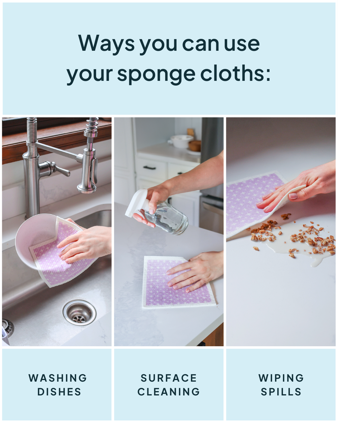 Sponge Cloth Blackberries | Nature Bee