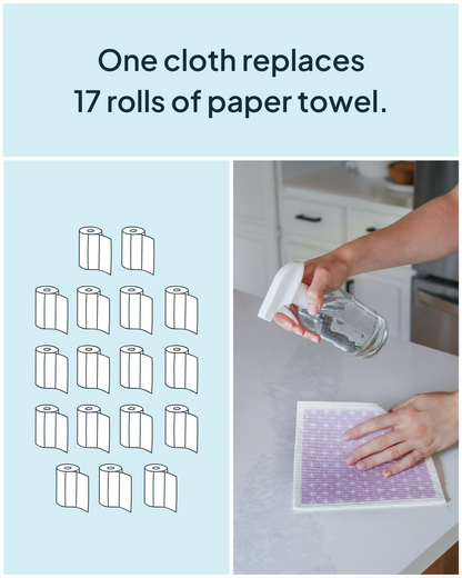 Sponge Cloth Blackberries | Nature Bee