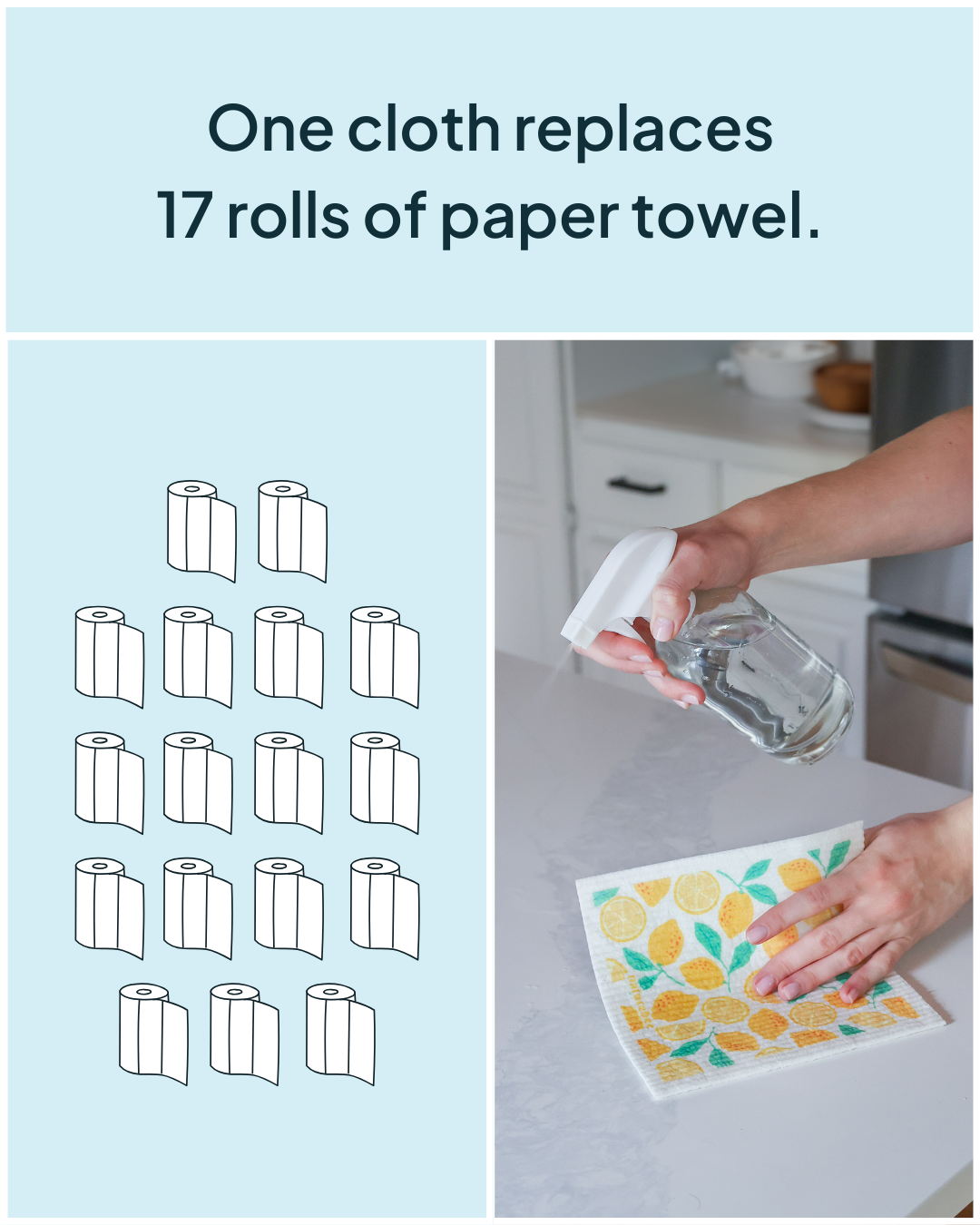 Fruit Swedish Sponge Cloth 6 pack | Nature Bee