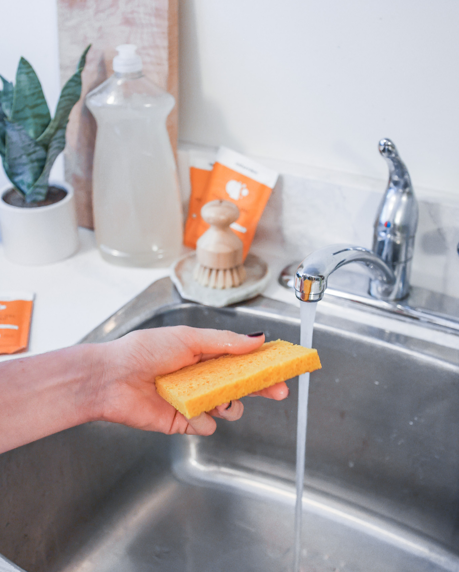 Cellulose Kitchen Sponge - Nature Bee