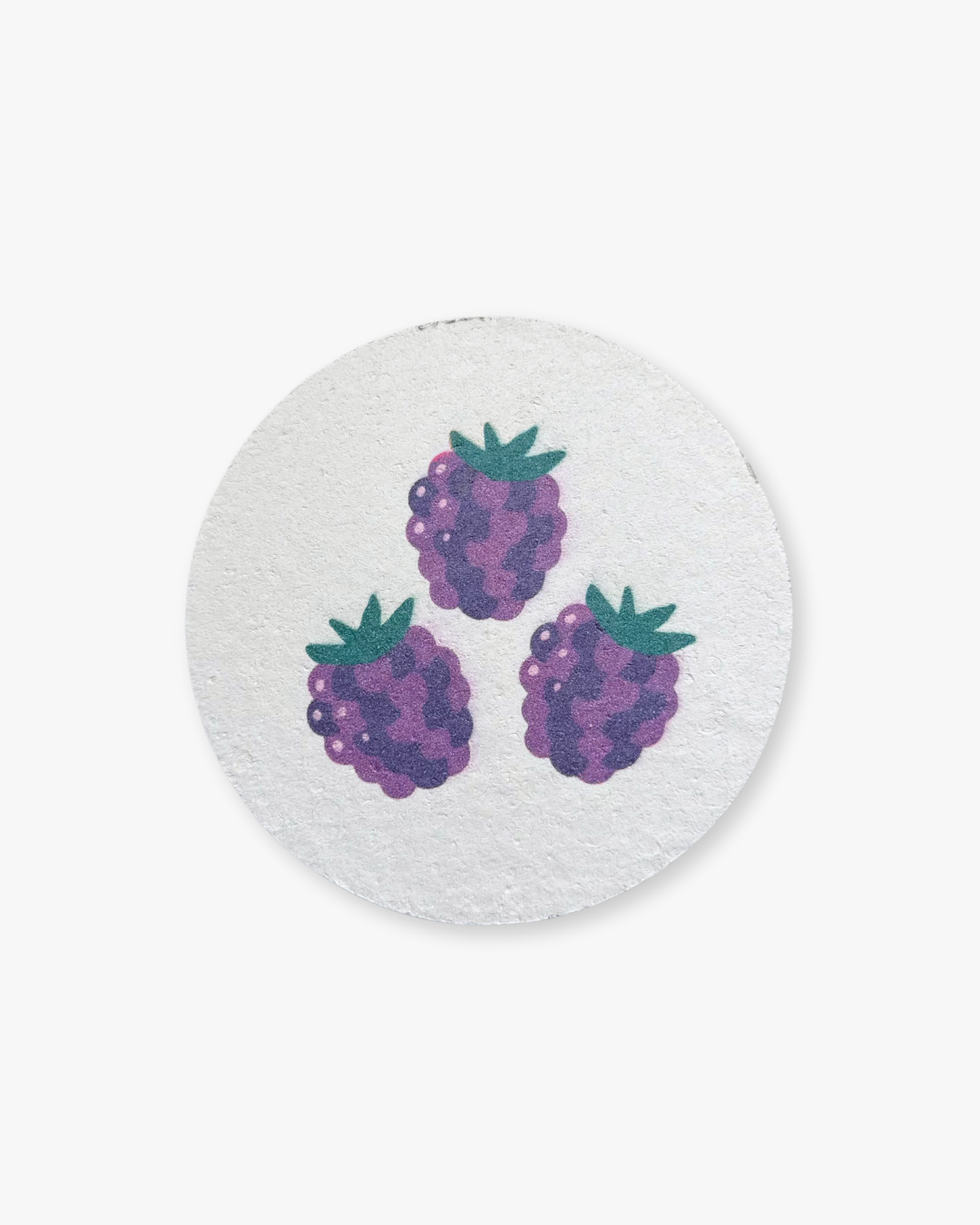 Compressed Cellulose Sponges - Blackberries