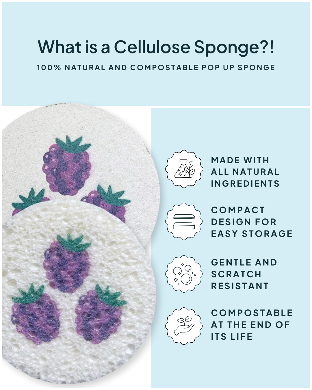 Compressed Cellulose Sponges - Blackberries
