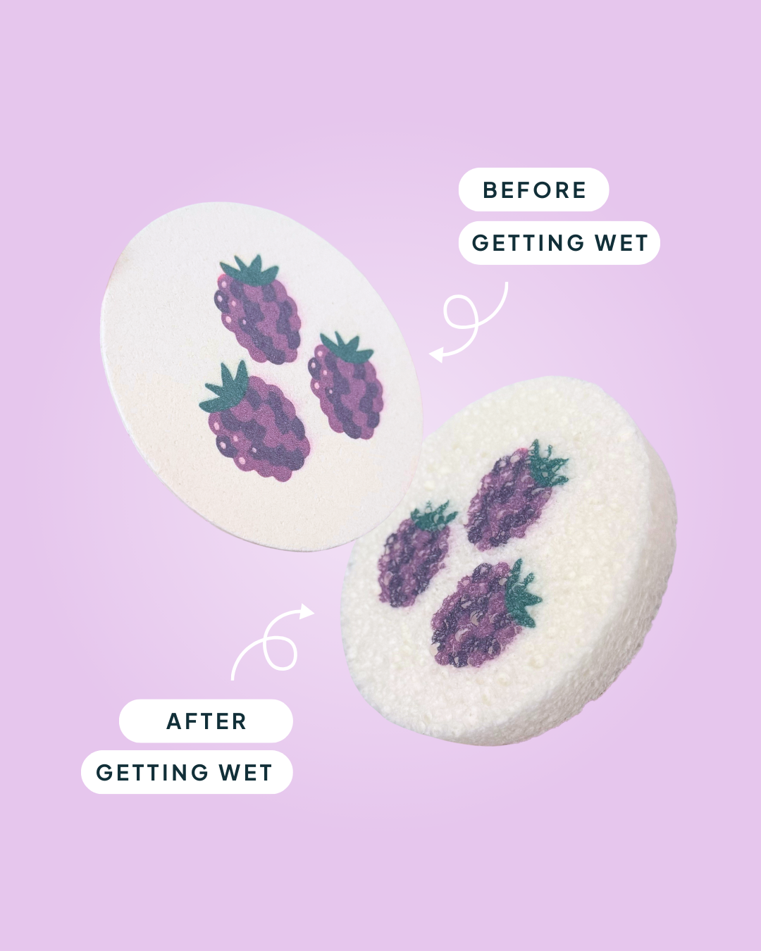 Compressed Cellulose Sponges - Blackberries