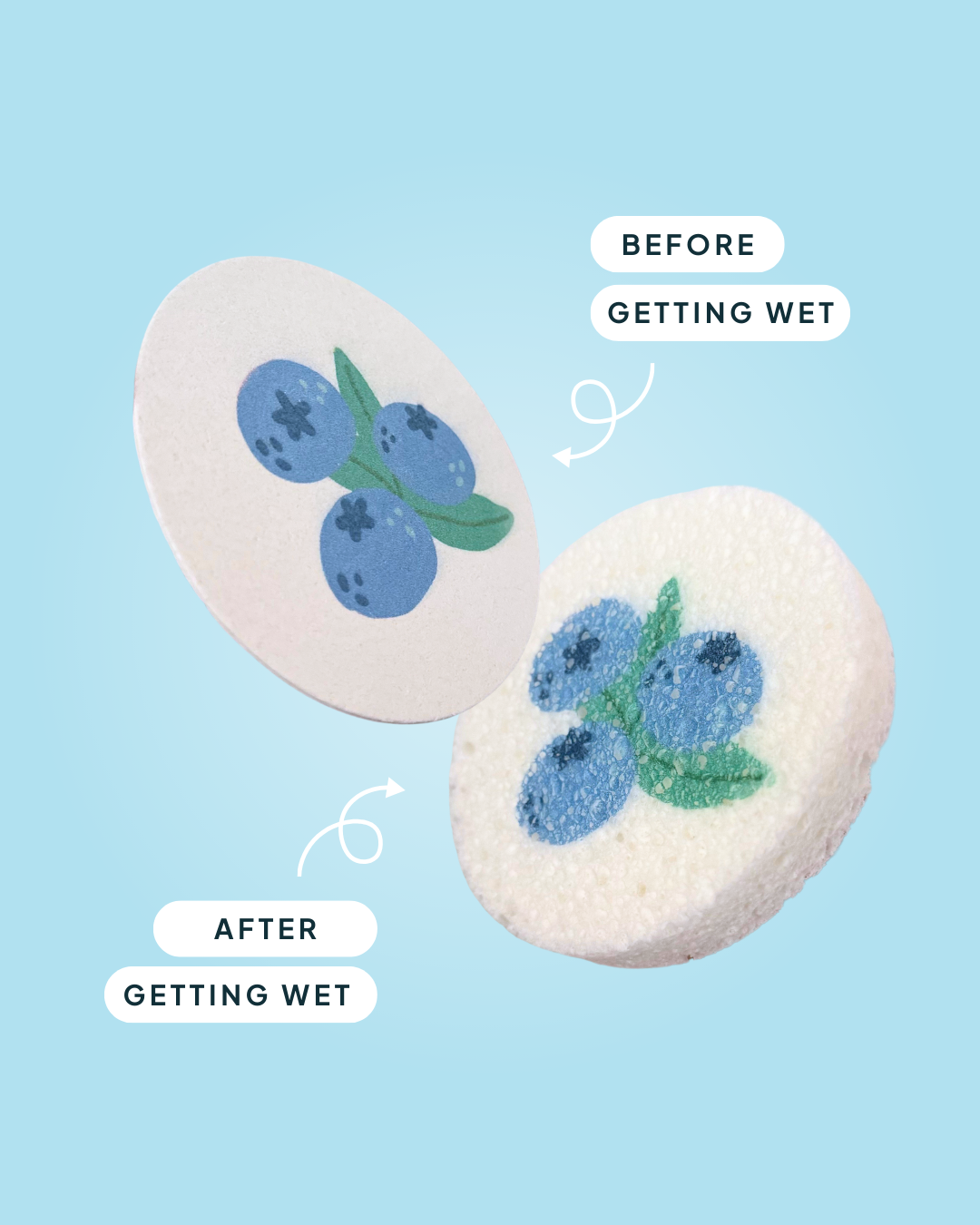 Compressed Cellulose Sponges - Blueberries