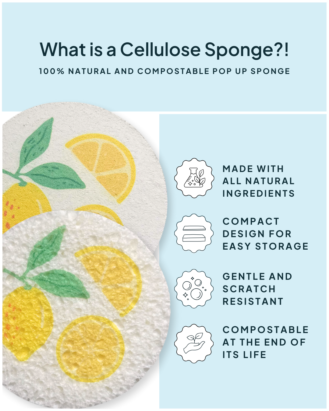 Compressed Cellulose Sponges - Lemons