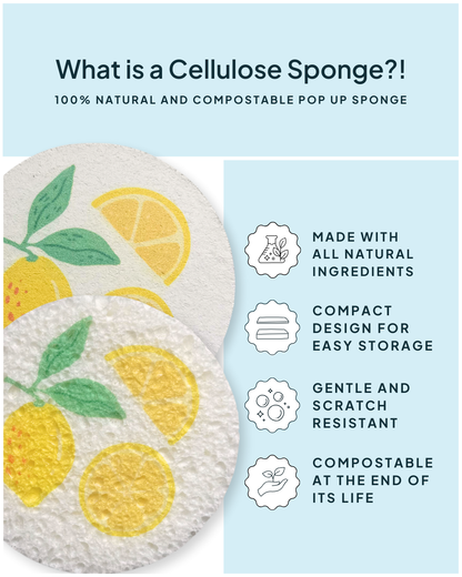 Compressed Cellulose Sponges - Lemons