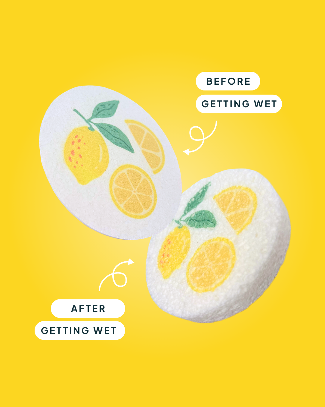 Compressed Cellulose Sponges - Lemons