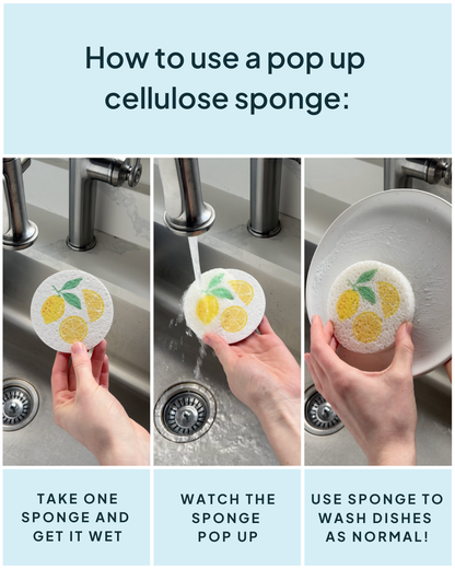 Compressed Cellulose Sponges - Lemons