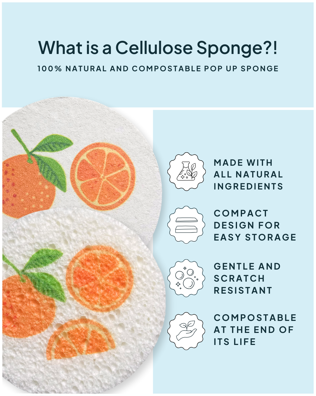 Compressed Cellulose Sponges - Oranges