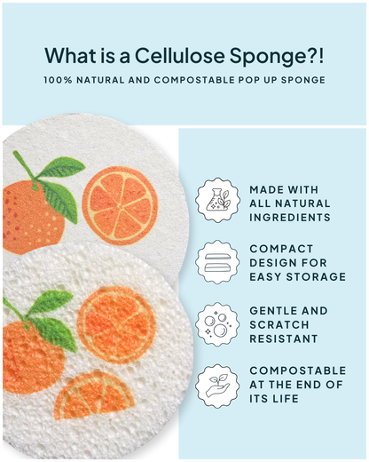 Compressed Cellulose Sponges - Oranges