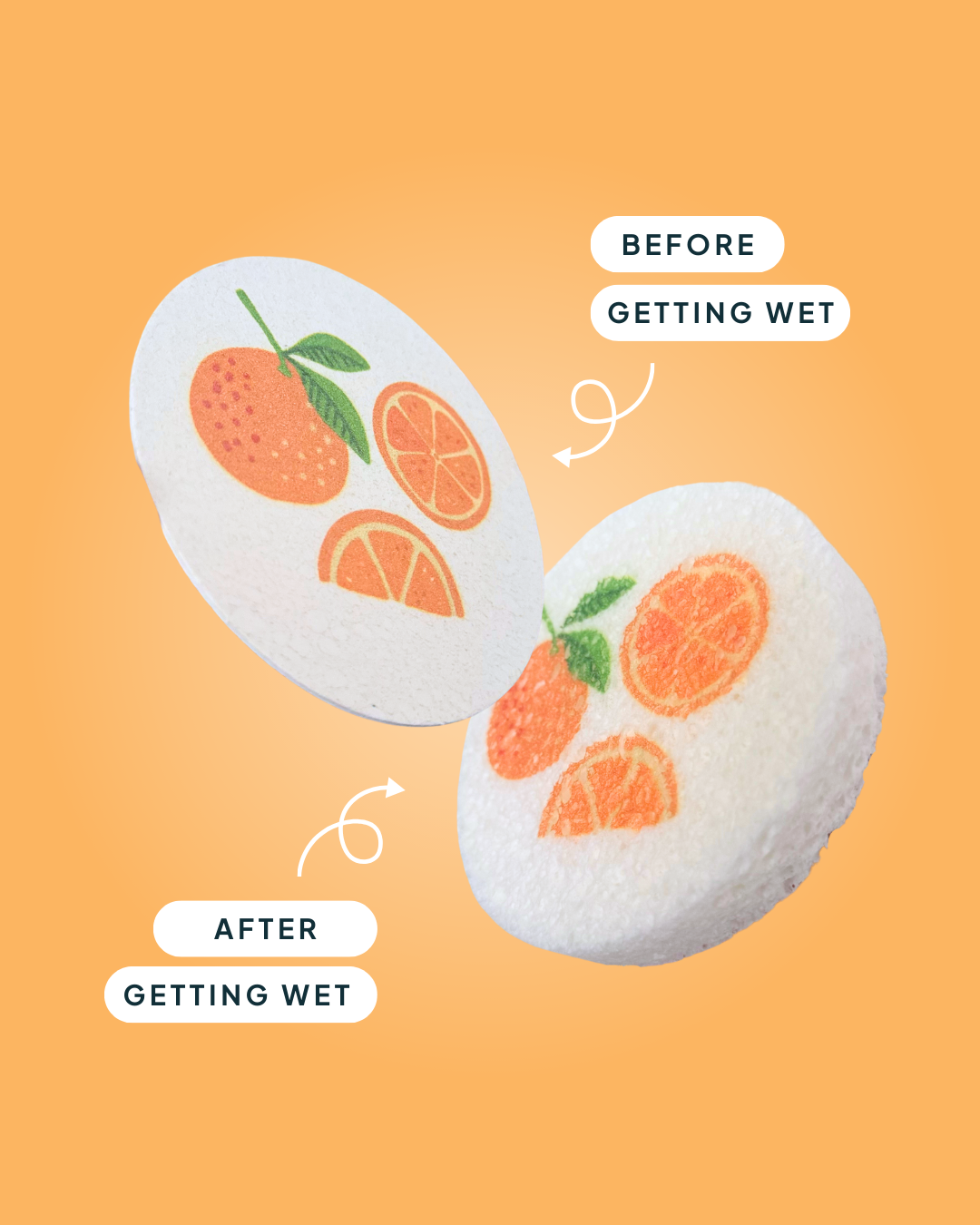 Compressed Cellulose Sponges - Oranges