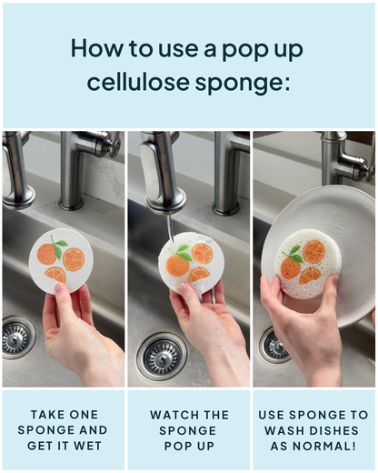 Compressed Cellulose Sponges - Oranges