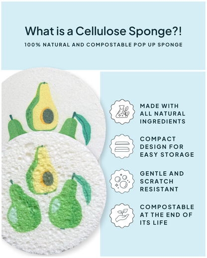 Compressed Cellulose Sponges - Avocados