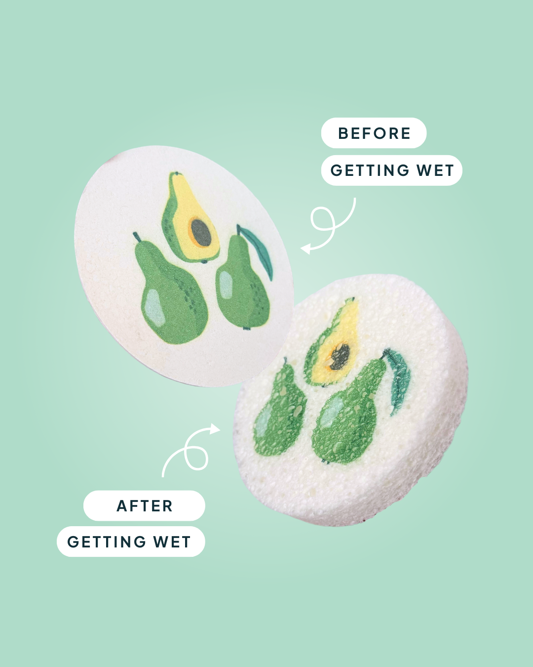 Compressed Cellulose Sponges - Avocados