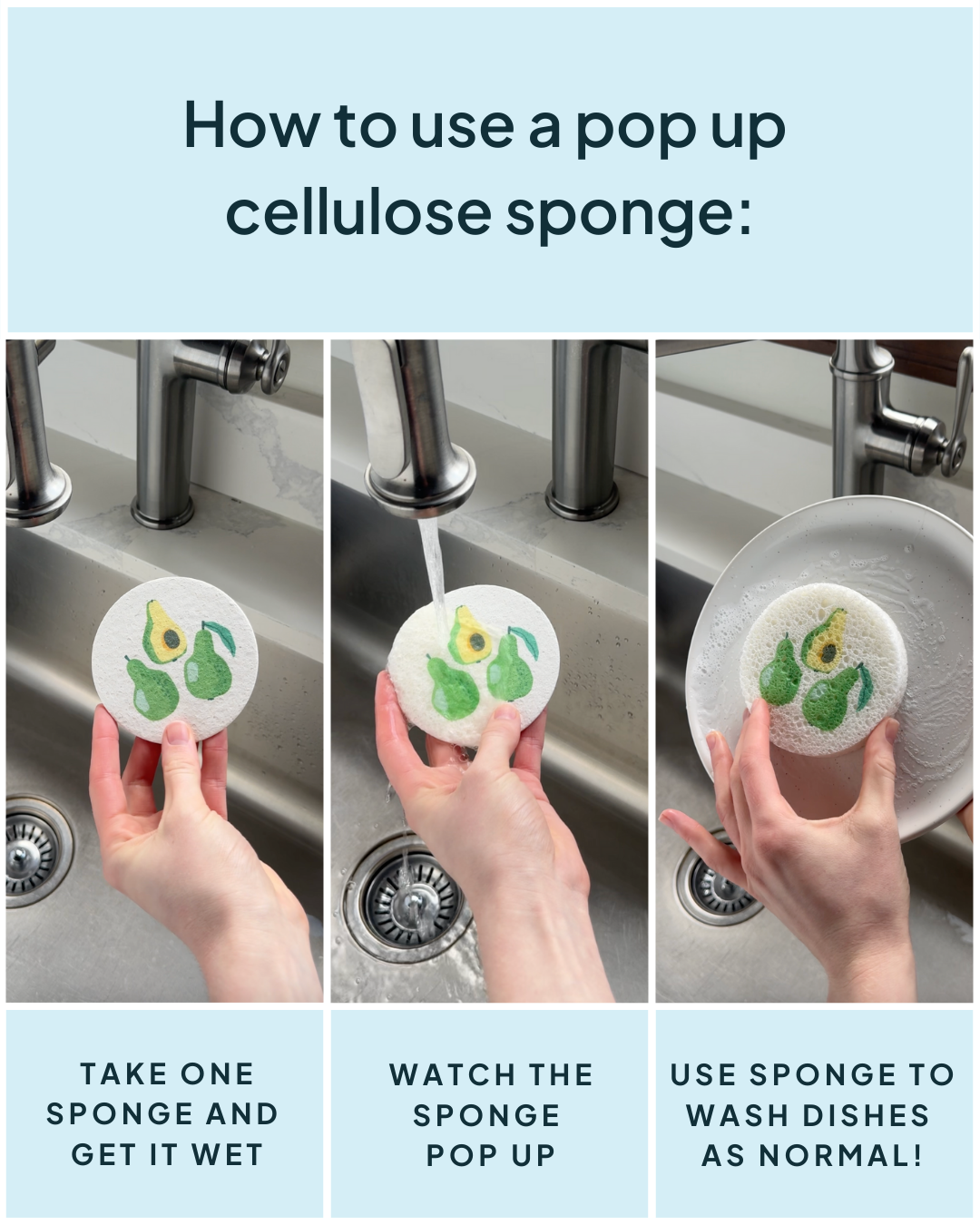 Compressed Cellulose Sponges - Avocados
