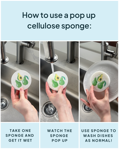 Compressed Cellulose Sponges - Avocados