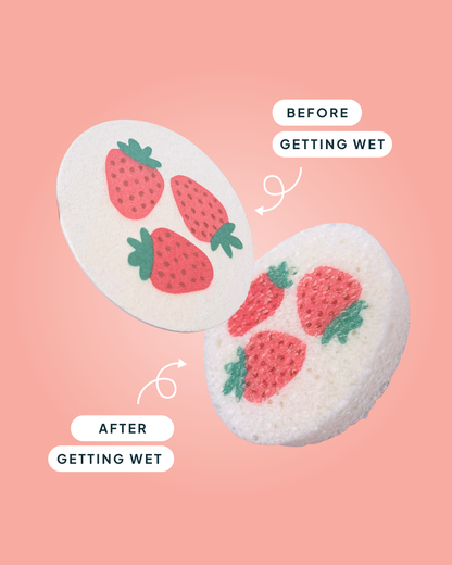 Compressed Cellulose Sponges - Strawberries