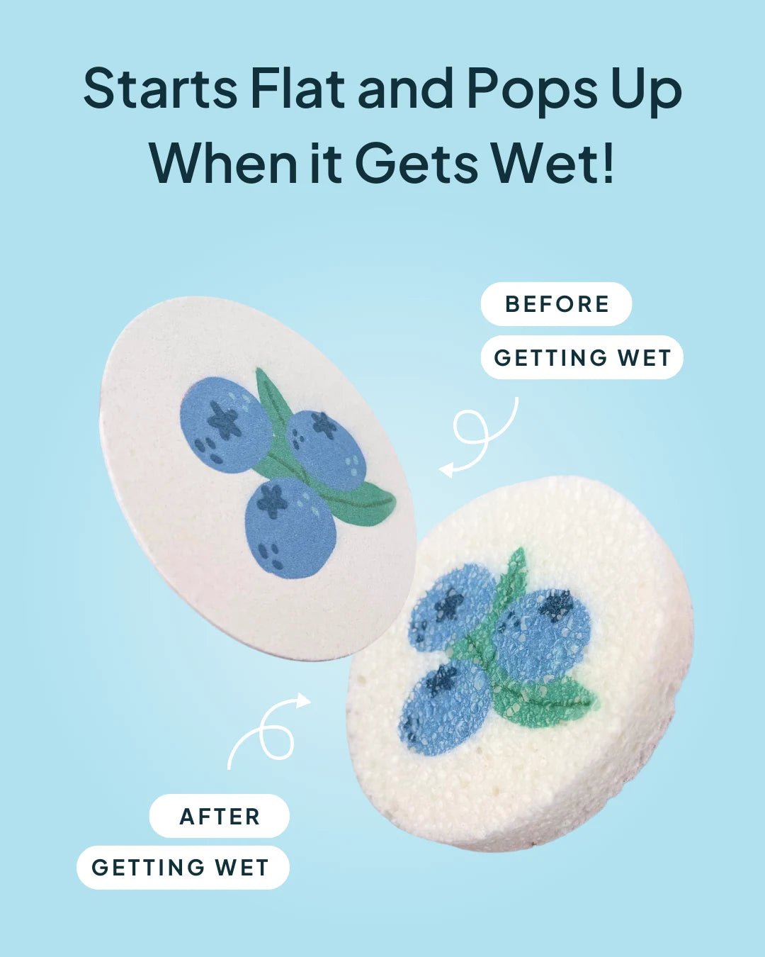 Compostable Cellulose Sponge - Mystery 2 - Pack - NATURE BEE